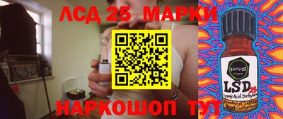 индика Кандалакша