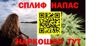индика Кандалакша