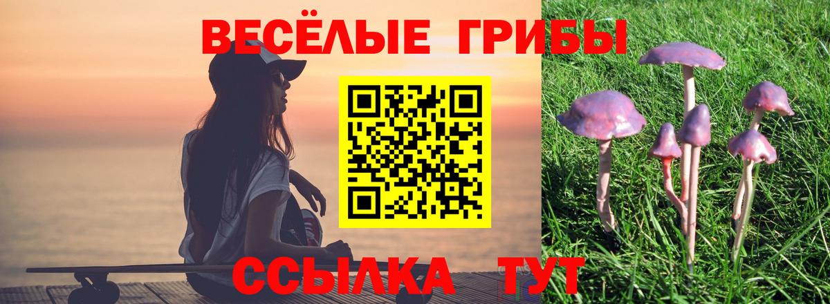 Калуга  Галлюциногенные грибы прущие грибы  Вход с VPN  Галлюциногенные грибы MAGIC MUSHROOMS 